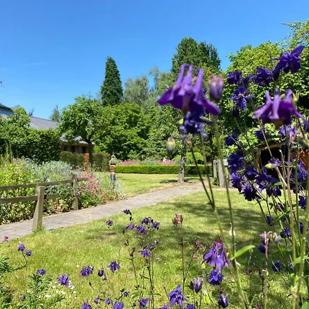 In Near Star Restaurant *