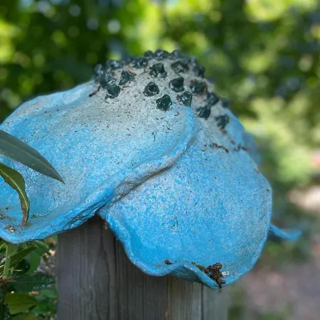 In Near Star Restaurant Leende