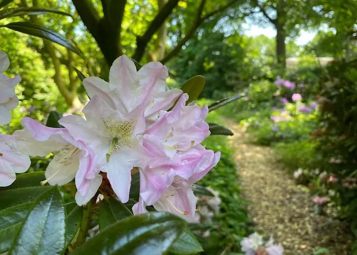 Σπίτι διακοπών In Near Star Restaurant