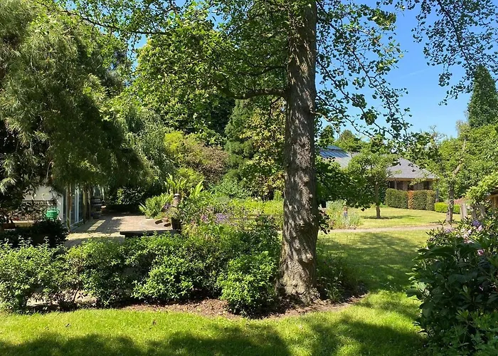 In Near Star Restaurant * Leende