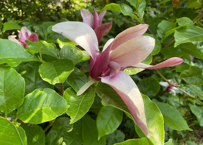 In Near Star Restaurant Σπίτι διακοπών