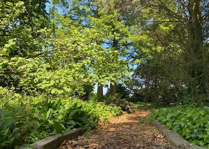 In Near Star Restaurant Leende