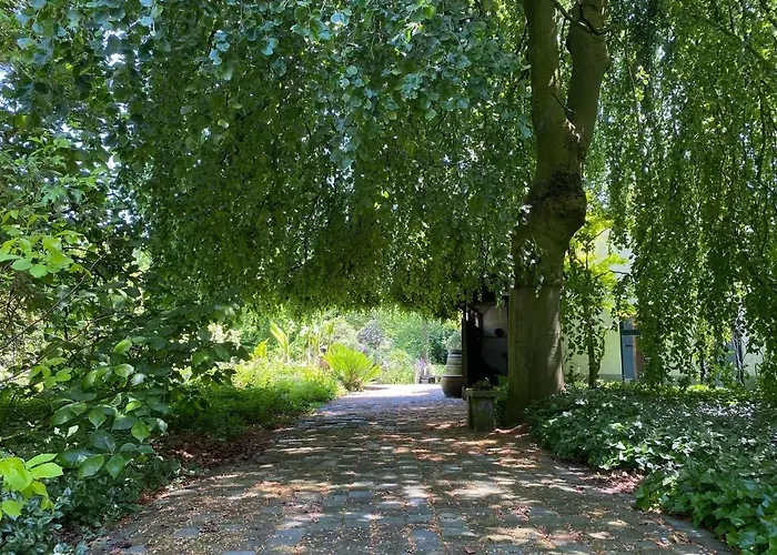Σπίτι διακοπών In Near Star Restaurant Leende