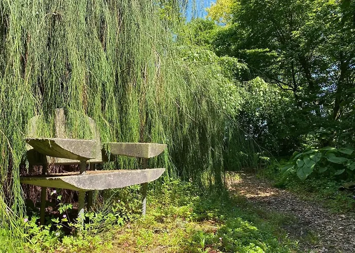 In Near Star Restaurant Leende