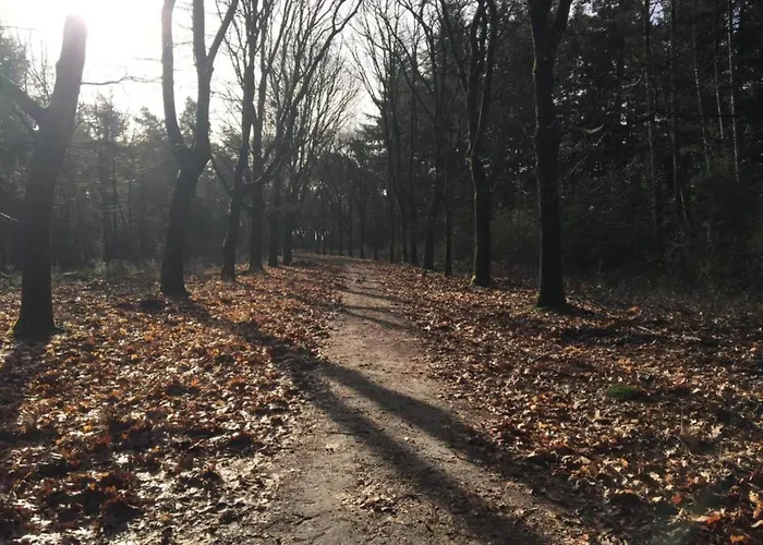 In Near Star Restaurant