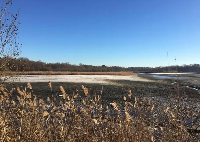 Σπίτι διακοπών In Near Star Restaurant Leende