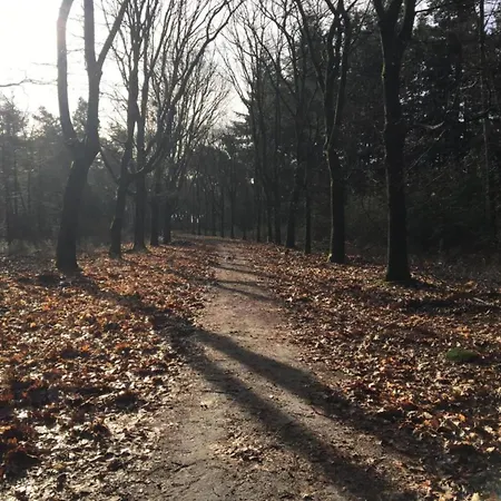 In Near Star Restaurant