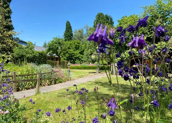 In Near Star Restaurant *